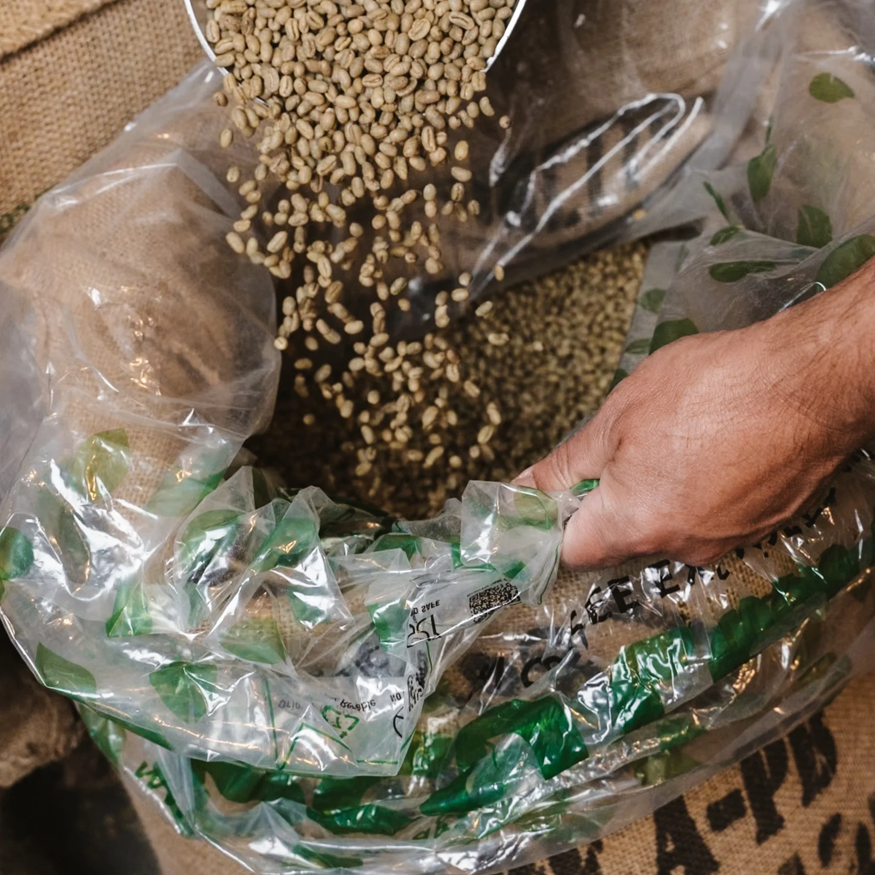 New Guinea A - UNROASTED - Image 2