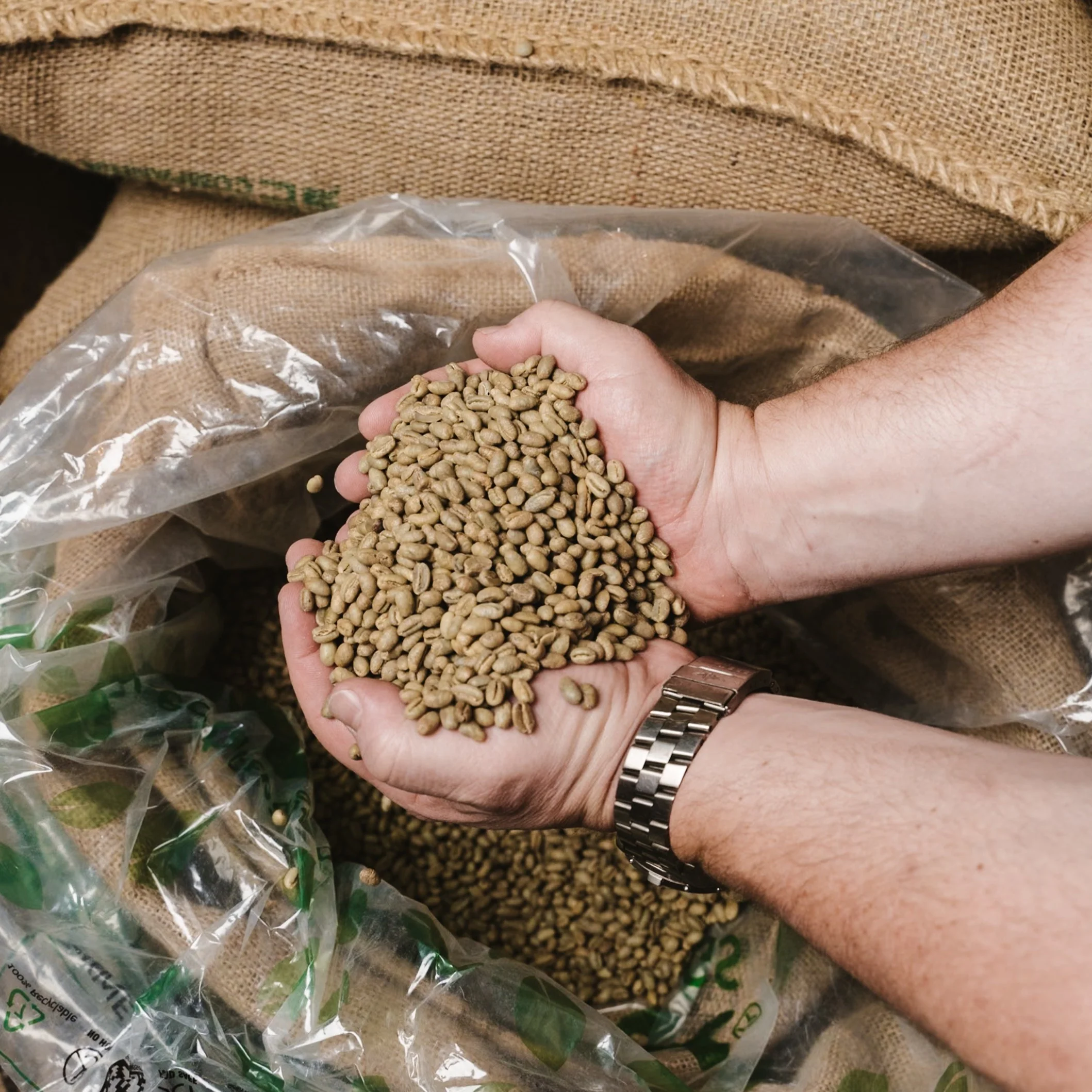 New Guinea "Purosa" A Organic - UNROASTED - Image 2