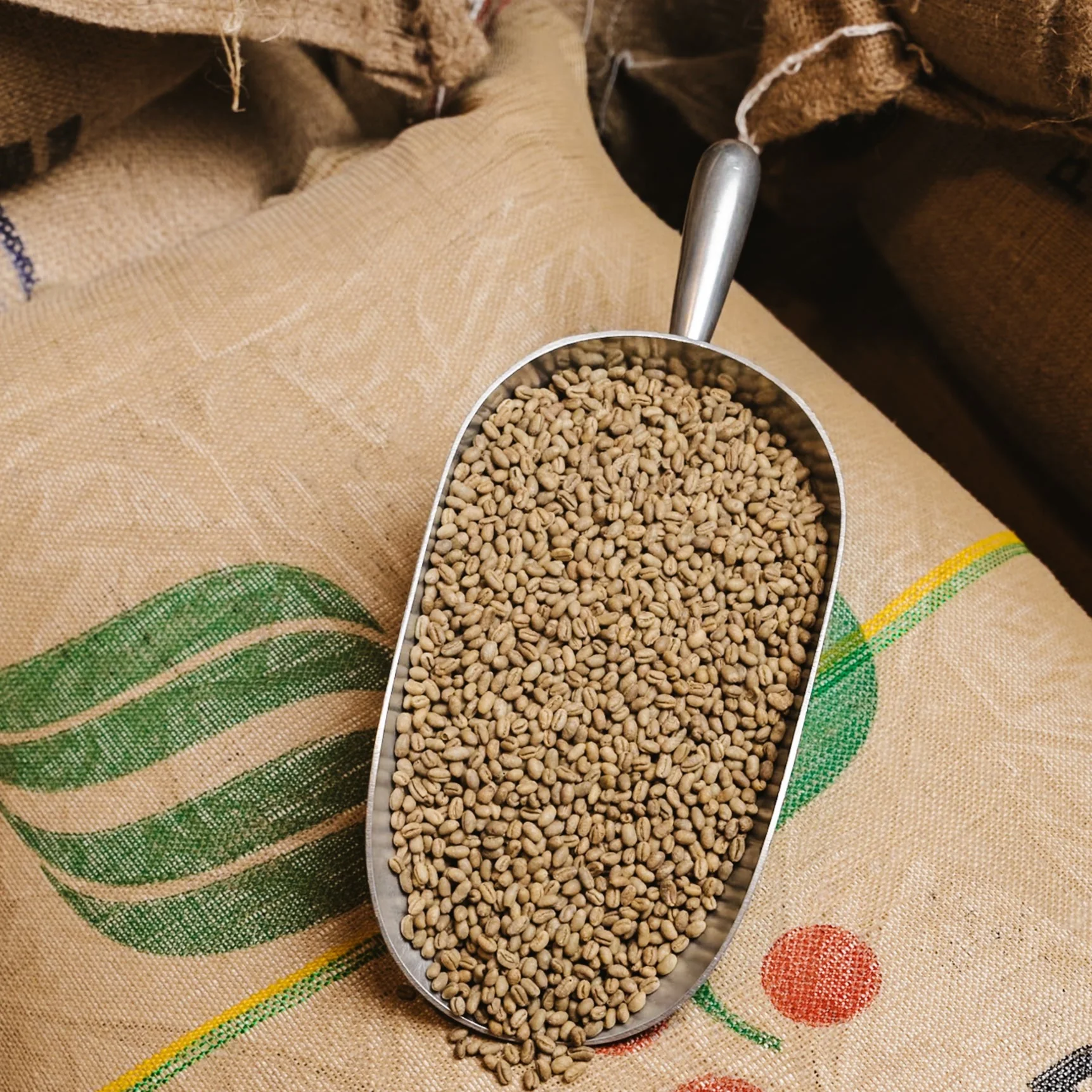 New Guinea Peaberry - UNROASTED - Image 2