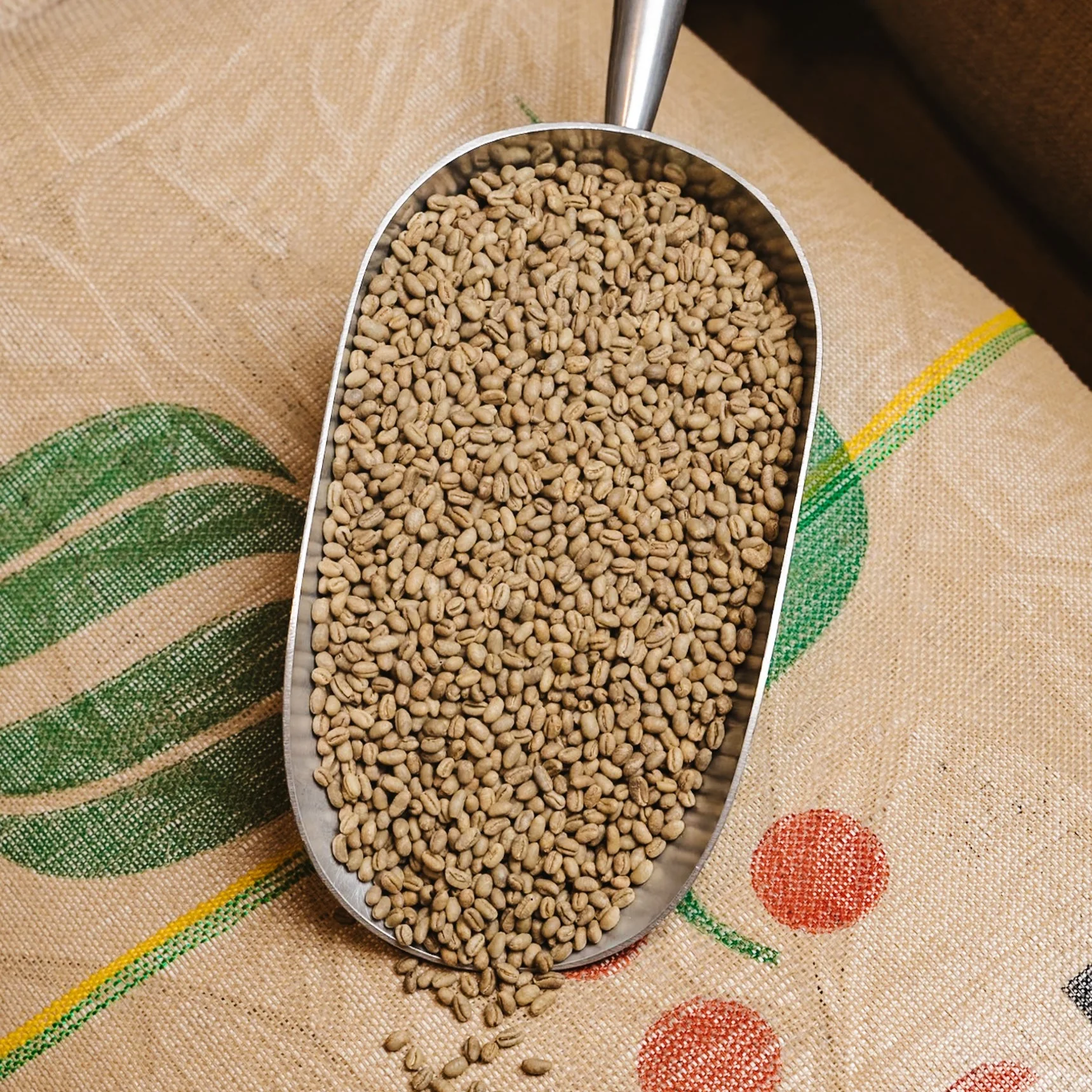 Peru Rainforest Alliance - UNROASTED - Image 2
