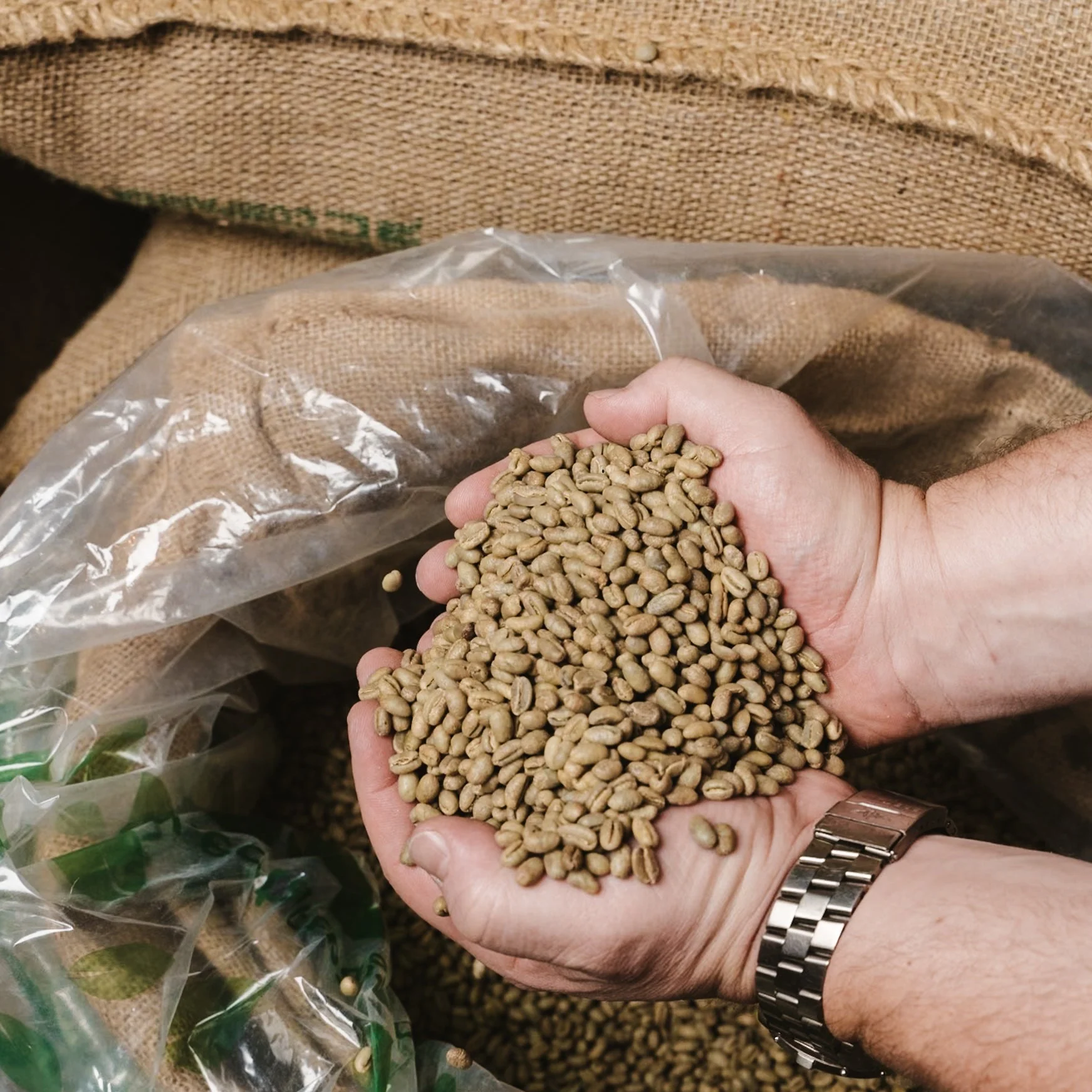 Sumatra Mandheling - UNROASTED - Image 2