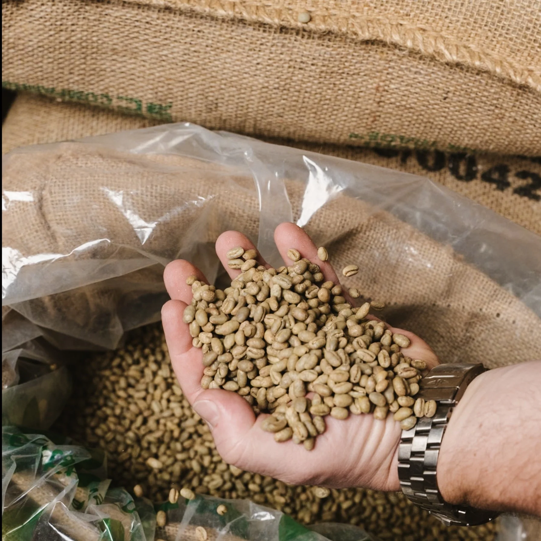 Uganda White Nile Organic - UNROASTED - Image 2